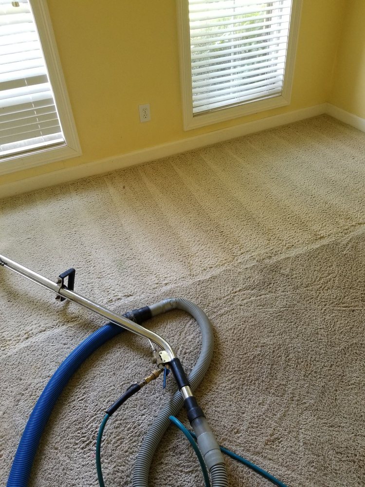 ALL METRO CARPET CLEANING Updated July 2024 30 Photos 6005