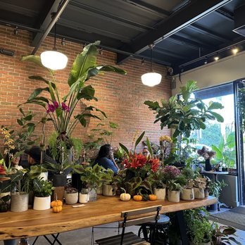 Kunst Coffee Haus - Coffee & Tea Near Me - Bayside, New York Kunst Coffee Haus - Coffee & Tea Near Me - Bayside, New York