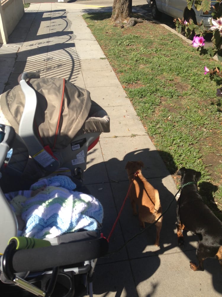 Max's Spot - pet boarding facility in San Diego, CA