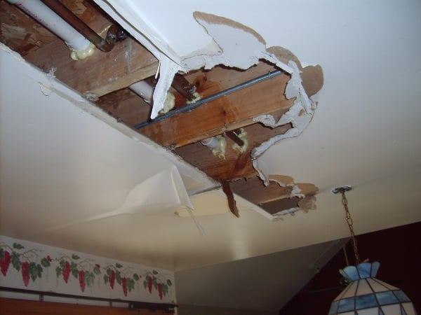 Slide of Absolute Water Damage