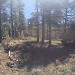 The view