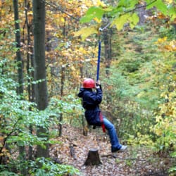 Calleva Farm - Zip Line.