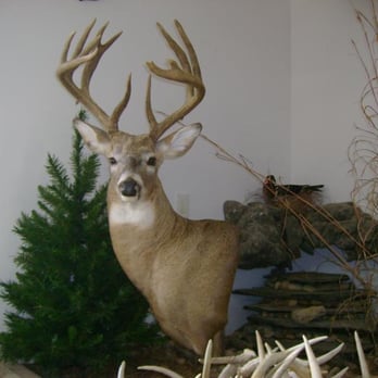 Trophy Taxidermy - Ridgeway, Missouri