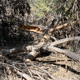 Rio Grande Nature Center State Park 184 Photos 34 Reviews Parks 2901 Candelaria Rd Nw Albuquerque Nm Phone Number Yelp