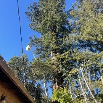Garcia's Tree Service - Emergency job - Tree Services Near Me Garcia's Tree Service - Emergency job - Tree Services Near Me