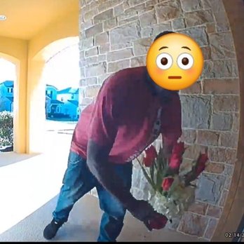 Katherine's Florist - What I got. Eight tulips. For $200! - Florists Near Me - Clermont, Florida Katherine's Florist - What I got. Eight tulips. For $200! - Florists Near Me - Clermont, Florida