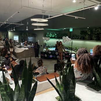 Grounded - Cafes Near Me - Washington, DC, District of Columbia