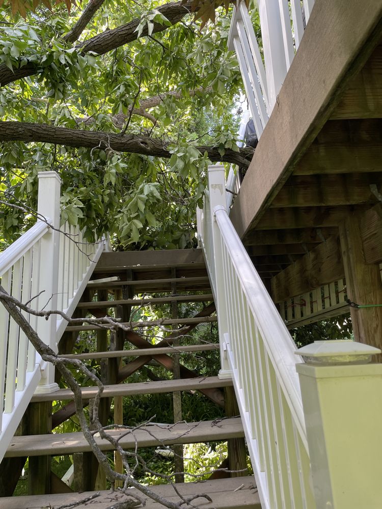 Nice Touch Lawn Care - tree service in St. Louis, MO