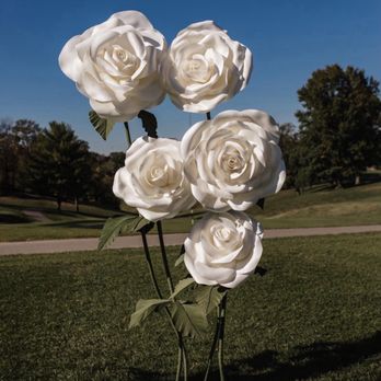 Balloon Tree Company - Wonderland Flowers - Balloon Services Near Me