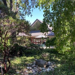 Woodside Library - The library from the back, which is an open nature-filled area