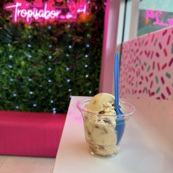 Tropi Sabor - Special Pralines - Ice Cream & Frozen Yogurt Near Me - Orlando, Florida Tropi Sabor - Special Pralines - Ice Cream & Frozen Yogurt Near Me - Orlando, Florida