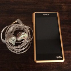Ultimate Ears Pro