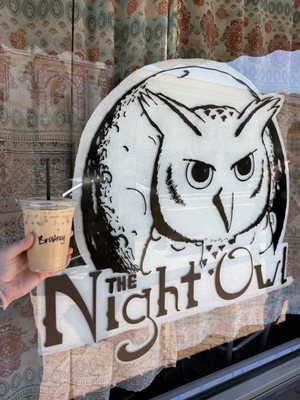 The Night Owl by null