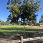 Valle Verde Park