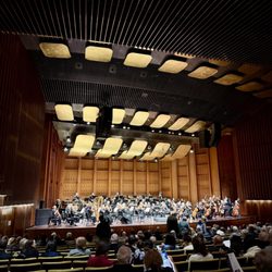 Orchestra