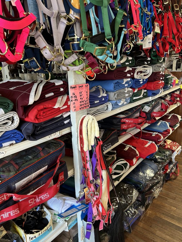 VILLAGE HARNESS SHOP Updated October 2024 3578 W Newport Rd, Ronks, Pennsylvania Horse