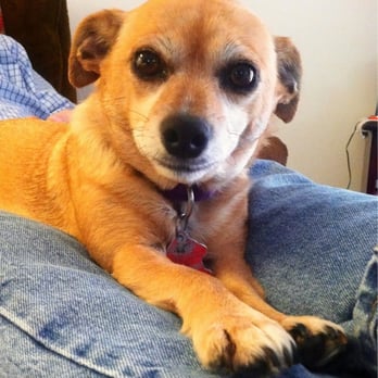 Southern Veterinary Hospital - Ready to see Dr. Martin:) - Veterinarians Near Me - Whiteville, North Carolina