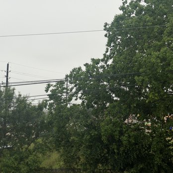 Claridge Apartments - Not trees or different types of trees will upgrade our view a lot thk - Apartments Near Me - Houston, Texas Claridge Apartments - Not trees or different types of trees will upgrade our view a lot thk - Apartments Near Me - Houston, Texas