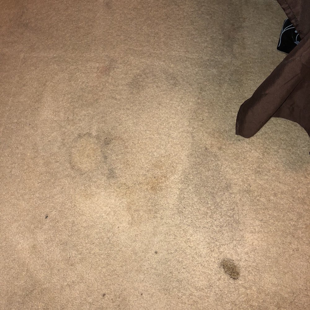 Refresh Carpet Cleaning - Vancouver - This after Scott "cleaned" the carpets - Carpet Cleaning Near Me - Vancouver, British Columbia Refresh Carpet Cleaning - Vancouver - This after Scott "cleaned" the carpets - Carpet Cleaning Near Me - Vancouver, British Columbia