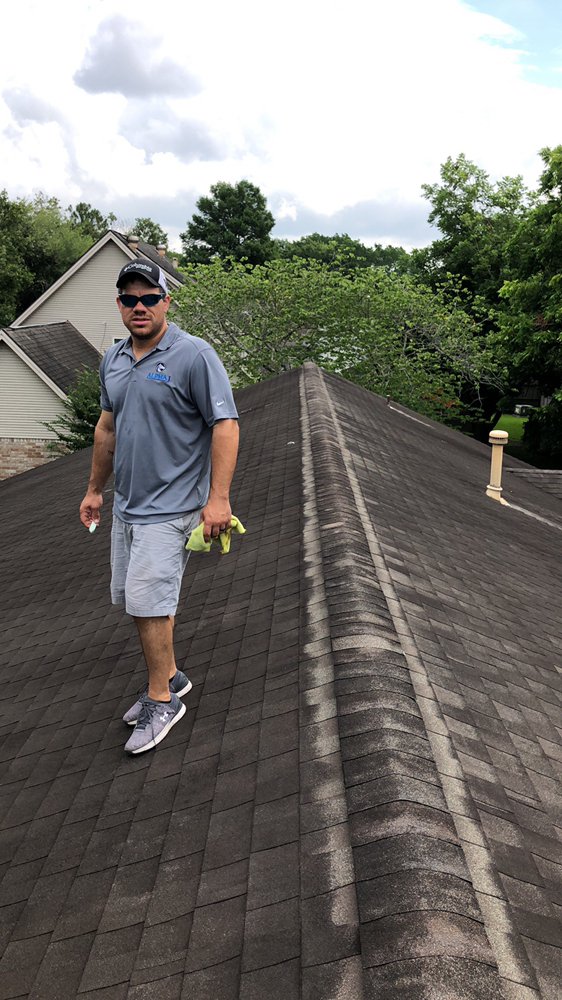 Slide of Alpha 1 Restorations