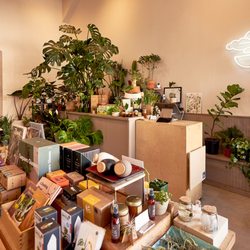 Cloud-Hidden Plants - Cloud-Hidden Plants whole store view