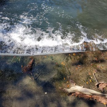 Brackenridge Park - Parks Near Me - San Antonio, Texas