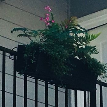Swansons Nursery - Nurseries & Gardening Near Me - Seattle, Washington
