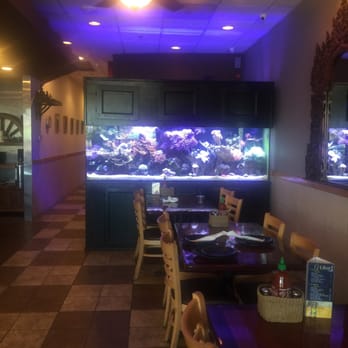 Ocean Thai Cuisine - Big Fish Tank - Thai Near Me - Oceanside, California Ocean Thai Cuisine - Big Fish Tank - Thai Near Me - Oceanside, California