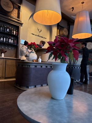 ANIMAL Tijuana by null