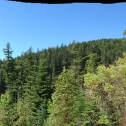 Kokanee Mountain Zipline - The view from the base at KMZ!