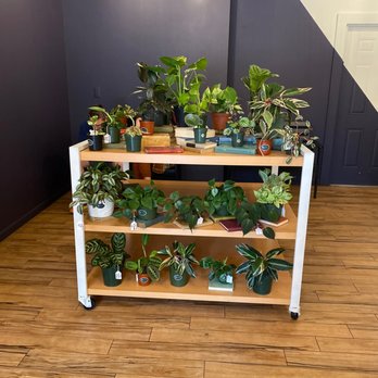 The Eatery - Cafes Near Me - Wallingford, Connecticut
