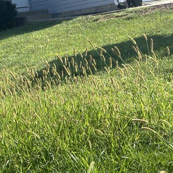 Naturescene - Lawn Services Near Me - St. Peters, Missouri Naturescene - Lawn Services Near Me - St. Peters, Missouri
