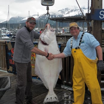 Inn and Out Charters - Boating Near Me - Seward, Alaska