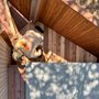 Photo of Webfoot Home Improvements