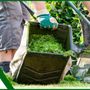 Photo of Beto's Landscaping