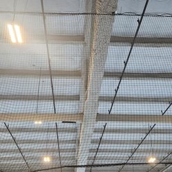 The Plex - Ceiling of low structural beams above volleyball courts