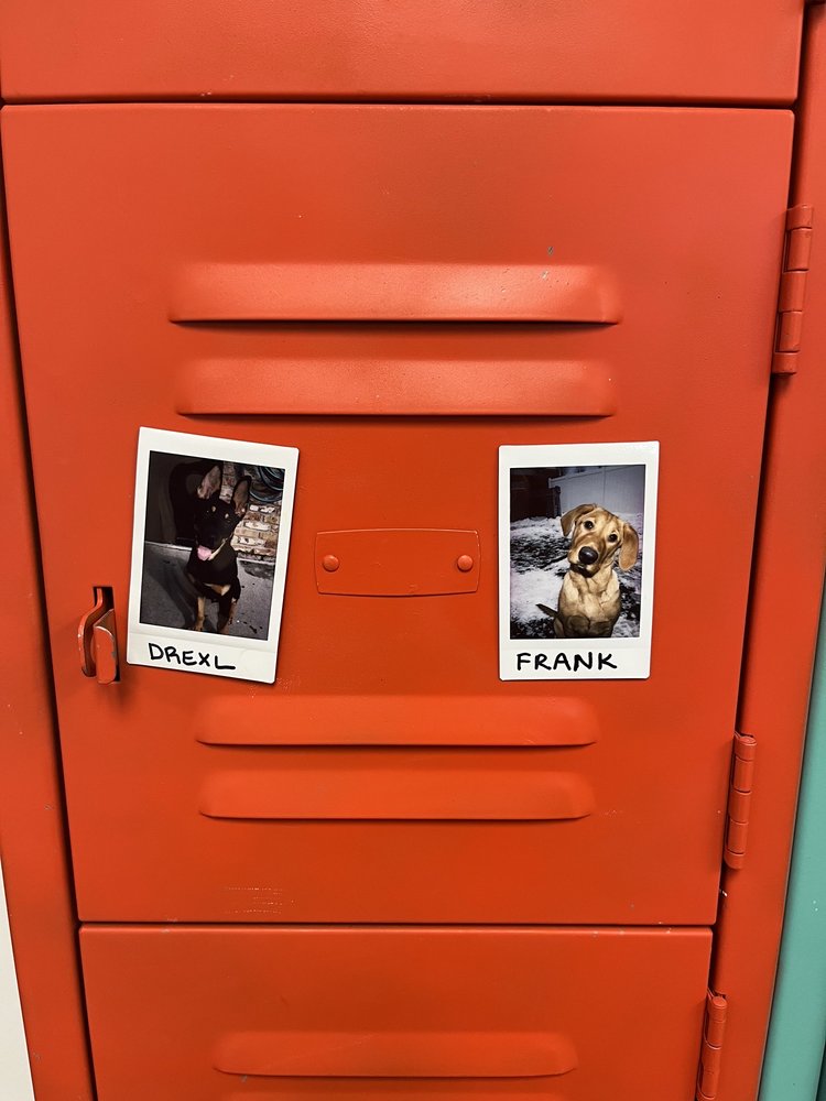 Wonder Dog Canine Club - pet boarding facility in Bloomington, MN