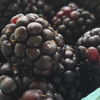 Peifer Orchards - Fresh Blackberrys late July - Farmers Market Near Me - Yellow Springs, Ohio Peifer Orchards - Fresh Blackberrys late July - Farmers Market Near Me - Yellow Springs, Ohio