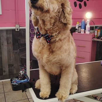 Ruff’s & Whisker’s Bath House - Pet Groomers Near Me - Covington, Georgia