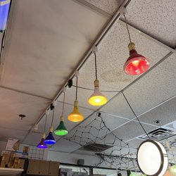 Light Bulbs Unlimited - Colored Outdoor Floods