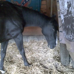 Woukadoo, steirischer Winnetou