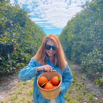 Dooley Groves - Fruits & Veggies Near Me - Ruskin, Florida Dooley Groves - Fruits & Veggies Near Me - Ruskin, Florida