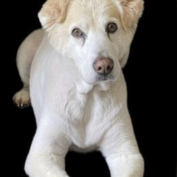 Kaipo