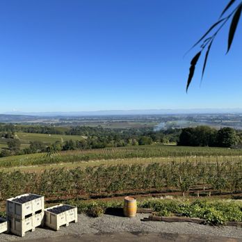 Wine History Tours - White Rose Estate - Historical Tours Near Me Wine History Tours - White Rose Estate - Historical Tours Near Me