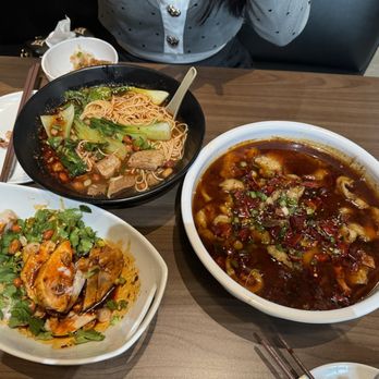 Spicy Girl - Spicy beef noodle soup - Chinese Near Me - Orlando, Florida
