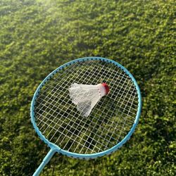Hotel Pellicano D'oro - A nice open lawn for badminton and other sports