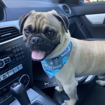 Suds N Paws - Pet Groomers Near Me - El Cajon, California