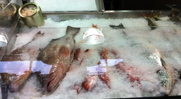Boston Fish Market Inc by null