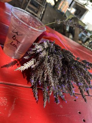 Wayward Winds Lavender Farm by null
