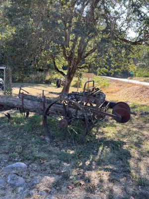 Apple Valley Country Store by null